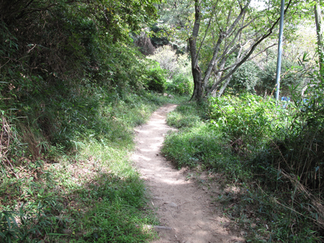 20140922hike (79)